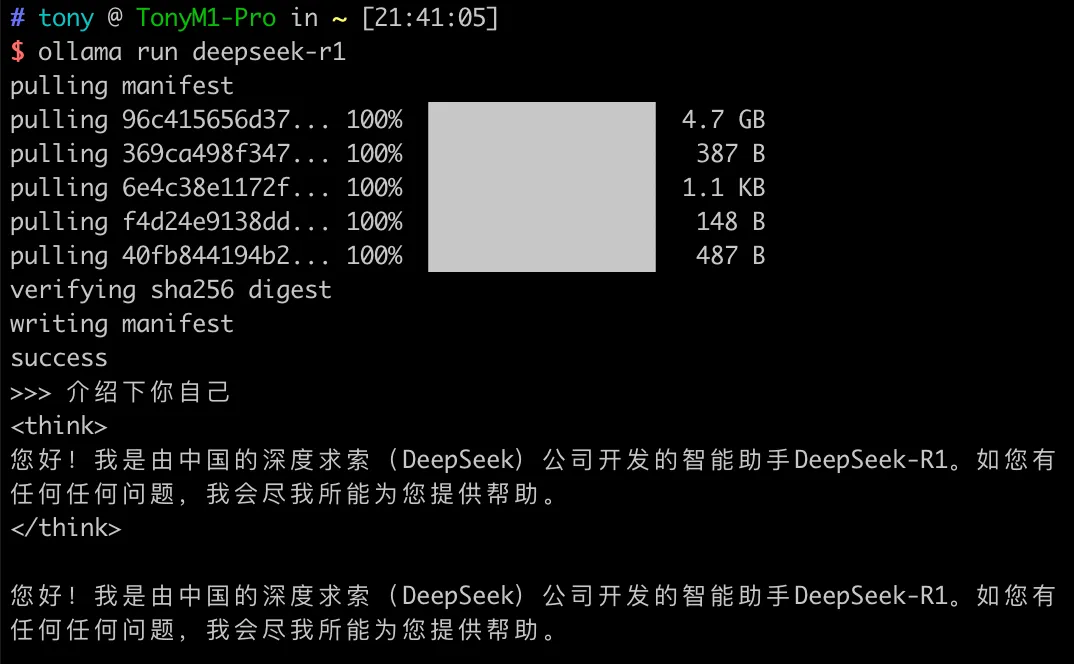 Deepseek_run
